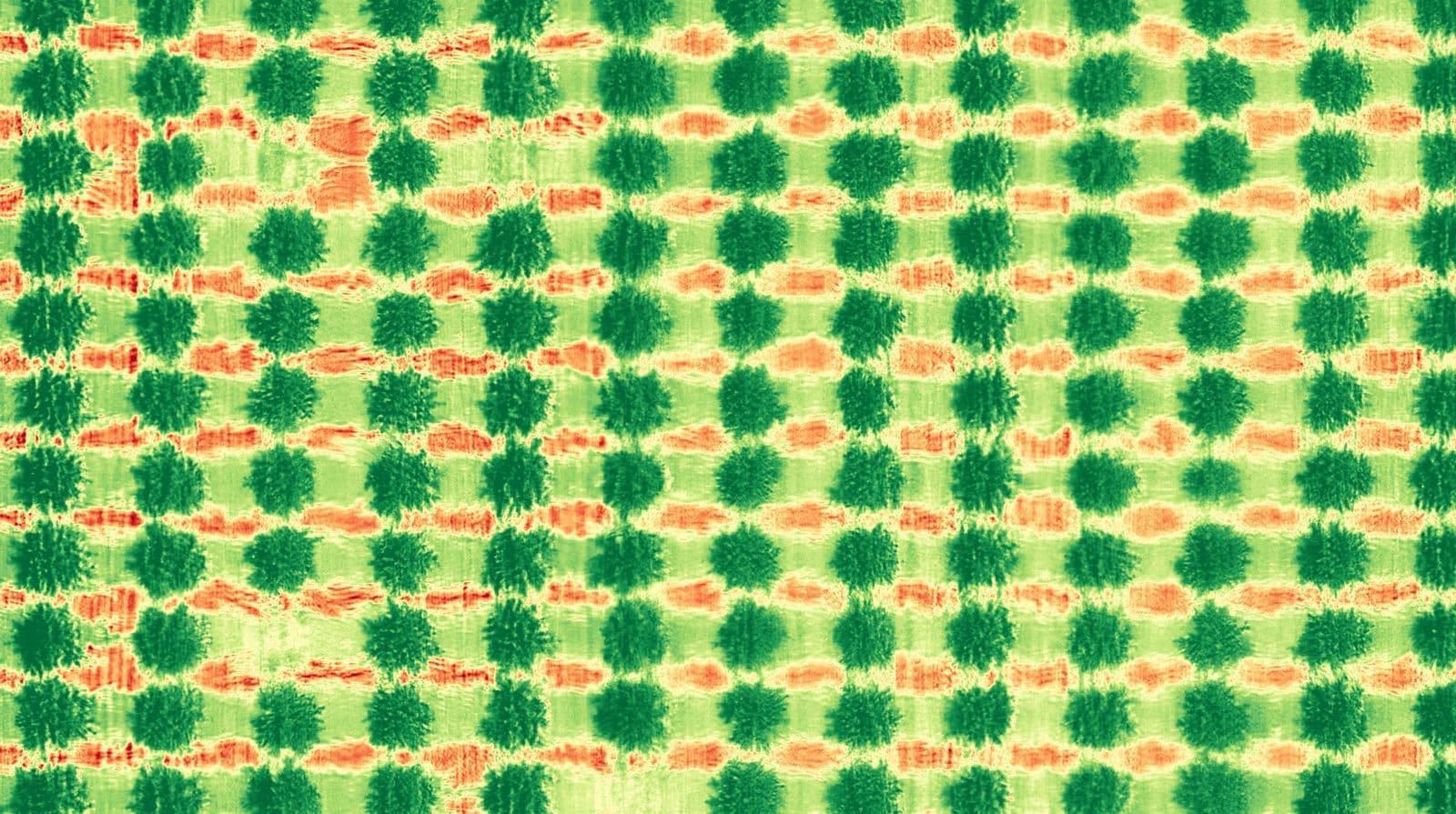 Multispectral NDVI plant-health map of a young orchard, with three missing trees ringed